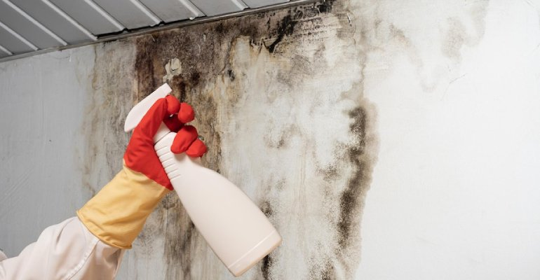 Mold treatment