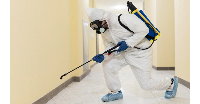 Pest Control Services