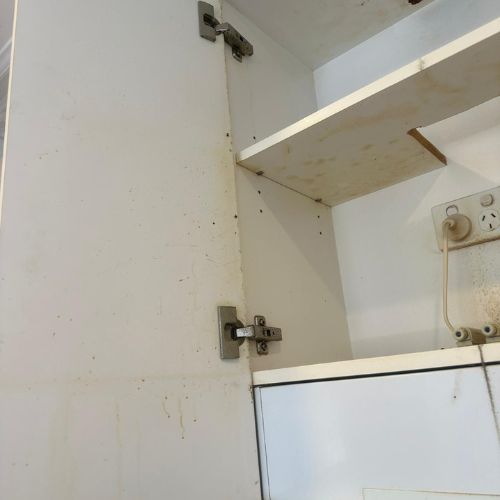 Untitled design - 2025-12-12T154839.997