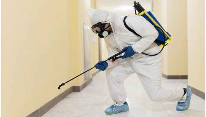Pest Control Services